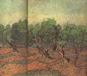 Vincent Van Gogh, Olive Grove (nn04)